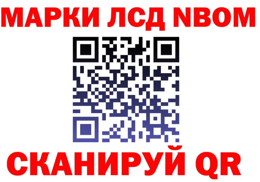 ГАШ Изолятор вход площадка mega Чехов