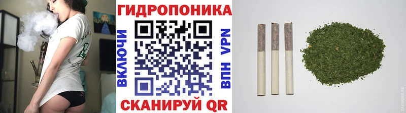Бошки Шишки план  Чехов 